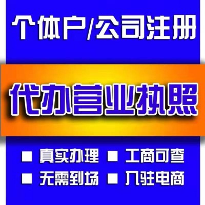 独资公司注册的费用