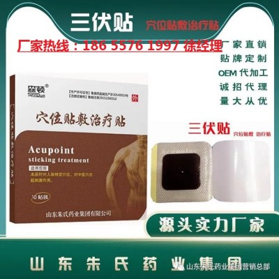 穴位贴敷治疗贴综合型（三伏贴/三九贴）贴牌定制代加工厂家批发