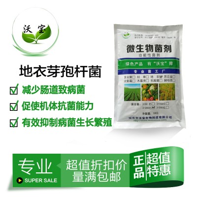 地衣芽孢杆菌养殖饲料添加生物净水益生菌改善养殖畜禽肠道促生长