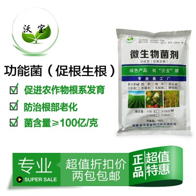 促根生根复合功能活菌有机种植松土益生菌粉微生物改良冲施肥育苗