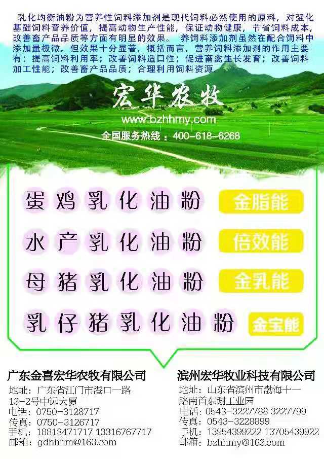 金乳能母猪专用乳化油粉