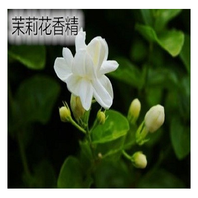 卫生香专用香精  花香型香精