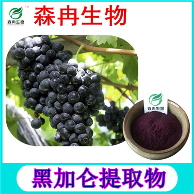 森冉生物 黑加仑提取物 黑加仑粉 黑加仑果粉