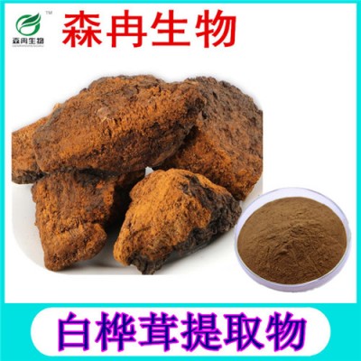 森冉生物　白桦茸提取物　桦褐孔菌提取物　白桦茸多糖