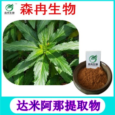 森冉生物 达米阿那提取物 特纳草提取物 植物提取原料粉
