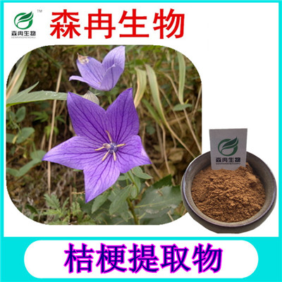 森冉生物 桔梗提取物 铃铛花提取物 植物提取原料粉