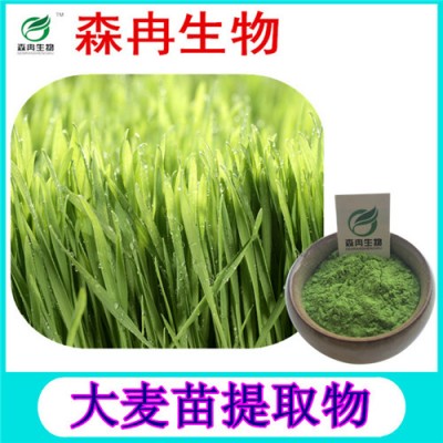 森冉生物 大麦苗提取物 大麦苗粉 植物提取原料粉