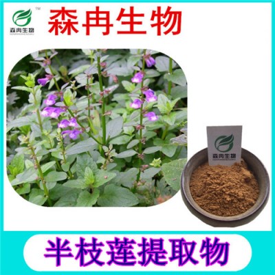 森冉生物 半枝莲提取物 急解索提取物 植物提取原料粉