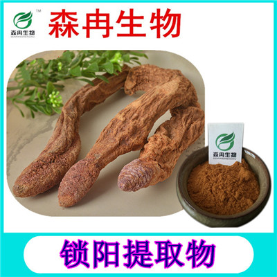 森冉生物 锁阳提取物 锁阳生物碱 地毛球提取物