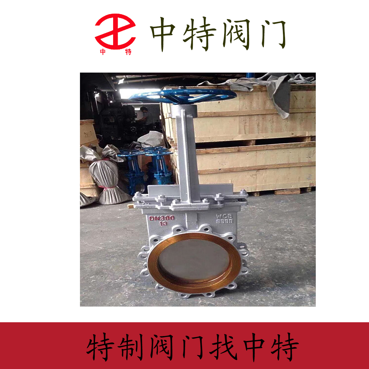 凸耳式刀型闸阀