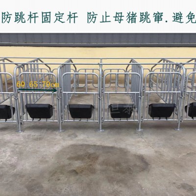母猪限位栏  母猪用落地限位架生产厂家