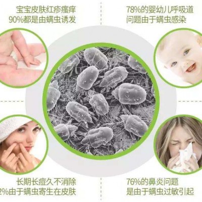 广州越秀区杨箕高效除螨虫公司，床垫沙发清洗，螨虫滋生危害