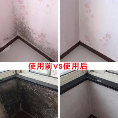 广州番禺小谷围除霉公司，墙角发霉处理，天花发霉处理