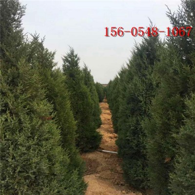 1米2米蜀侩2米2.5米- 3米蜀侩4米5米蜀侩