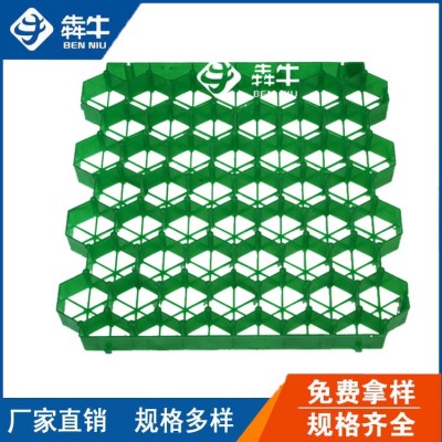 扬州hdpe园林绿化植草格款式新颖