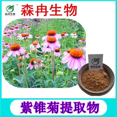 森冉生物 紫锥菊提取物 松果菊提取物 紫锥菊多酚