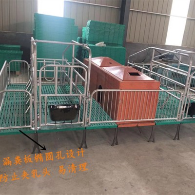 双体母猪产床 育保一体母猪产床生产厂家