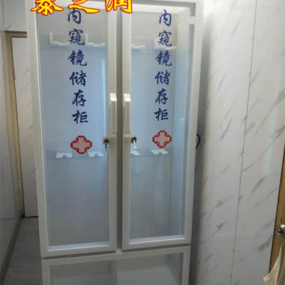 泰之润内窥镜储存柜 单双门 智能化自动控制