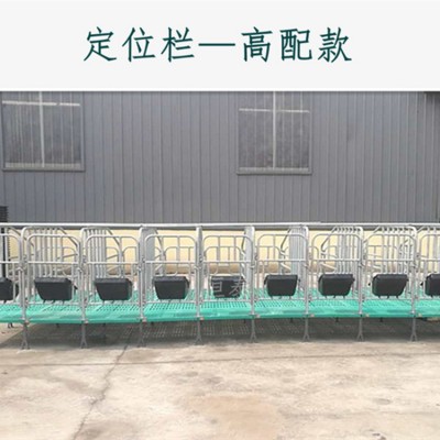 母猪限位栏  猪用全复合限位栏现货直销