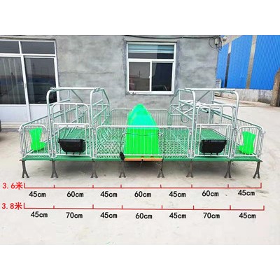 母猪双体产床   母猪全复合分娩床