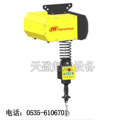 进口智能电动葫芦EIW033120,智能电动葫芦经CE认证