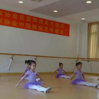 高档舞蹈把杆厂家 舞蹈把杆价格