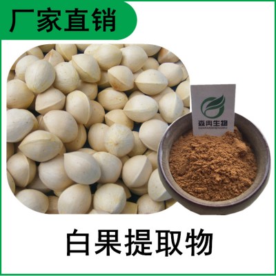 森冉生物 白果提取物 银杏果提取物 植物提取原料粉