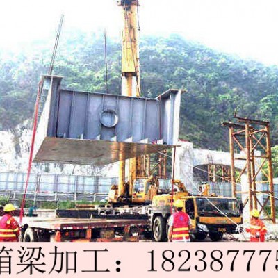 广东江门钢结构桥梁加工厂家钢箱梁结构