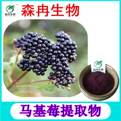 森冉生物 马基莓提取物 马基莓粉 马奇果提取物