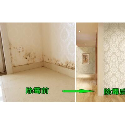 广洲天河路除霉菌公司，墙面潮湿发霉，霉渍高效清理