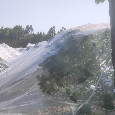 全新料宽边防虫网果树大棚防虫网防黄龙病果蝇透风透光