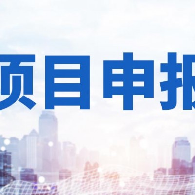 2022年武汉经开区公共服务平台奖励政策申报条件