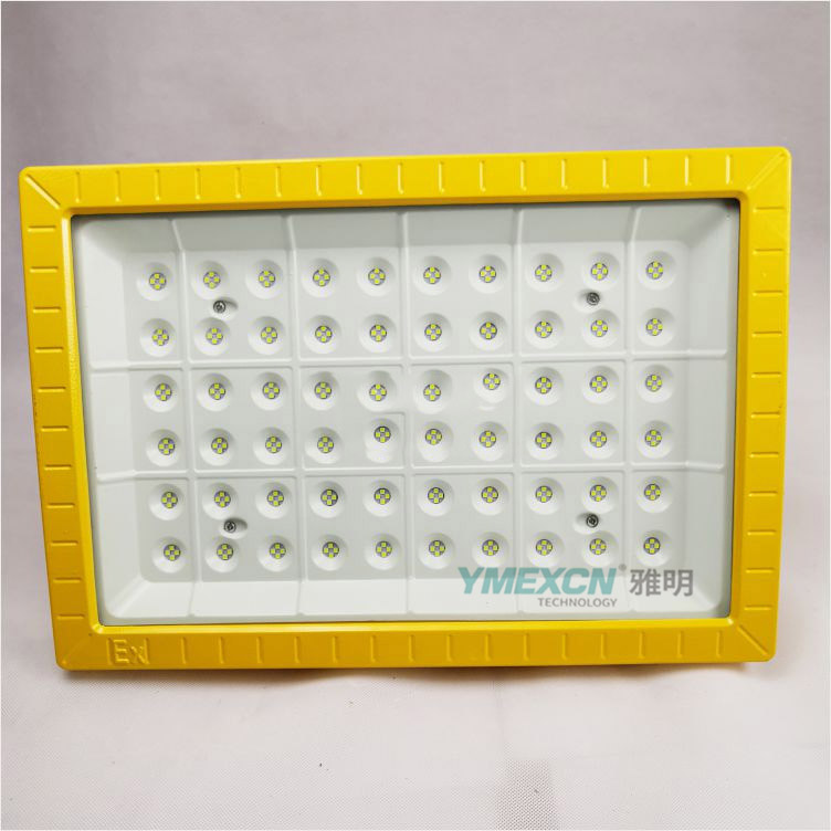 250WAC220V色温6500K防爆LED照明灯