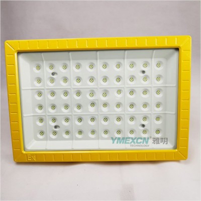 250WAC220V色温6500K防爆LED照明灯