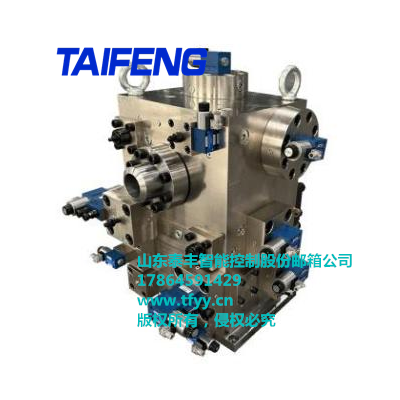 用于3500/580重型双工位锻造液压机的二通插装阀