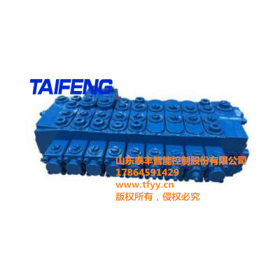 山东泰丰品牌用于微小型挖掘机的多路阀