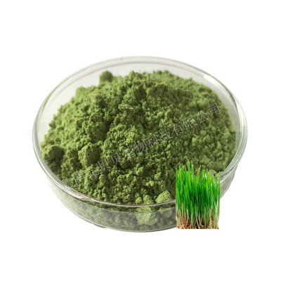 实力工厂乌梅粉 野樱莓粉  山竹粉  红甜菜粉  大麦汁苗粉