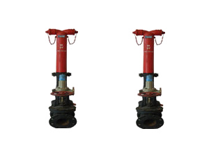 沧州铁狮地上水泵接合器 消防器材