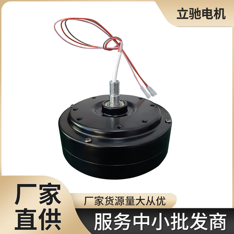 摇头扇微型直流调速 马达直流三相异步智能低转速电机
