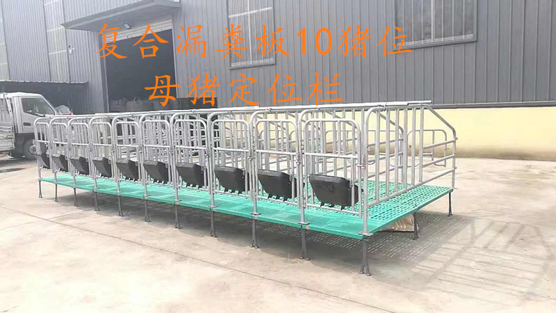 母猪限位栏  猪用全复合限位栏现货直销