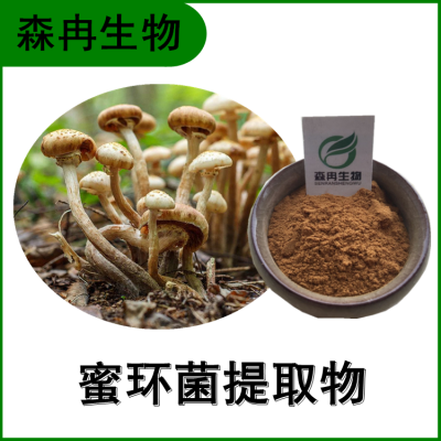 蜜环菌提取物 蜜环菌多糖 榛蘑浓缩粉 多种规格 全水溶