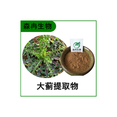大蓟提取物 大刺儿菜提取物 比例提取 多种规格
