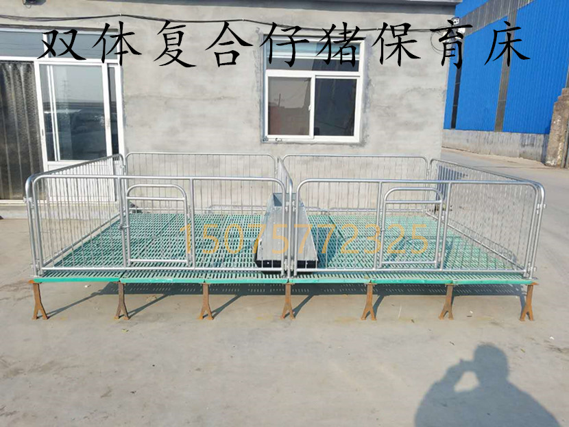 仔猪保育床  小猪用全复合保育床现货直销