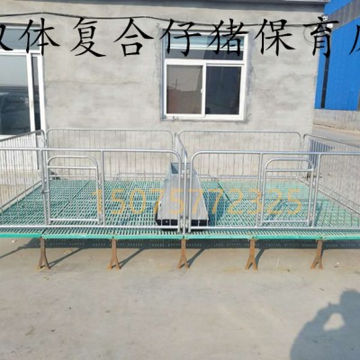 仔猪保育床  小猪用全复合保育床现货直销