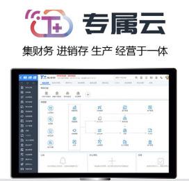 畅捷通T+专属云标准版