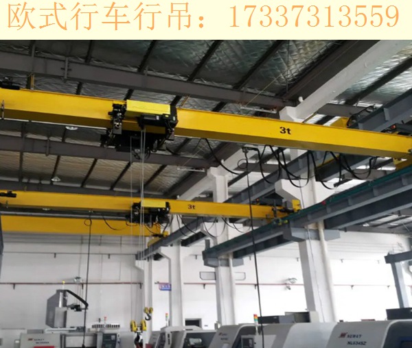 广东河源欧式行吊厂家 设备可用于搬运货物