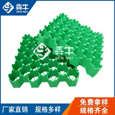 常州HDPE车位绿化种草植草格售后保障