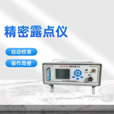 在线式氧气微水测量仪