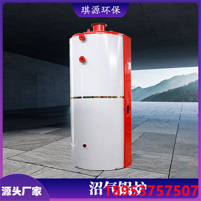 气煤两用常压锅炉 常压热水锅炉 取暖设备 琪源