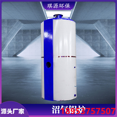 气煤两用锅炉 常压热水器 养殖场取暖设备
